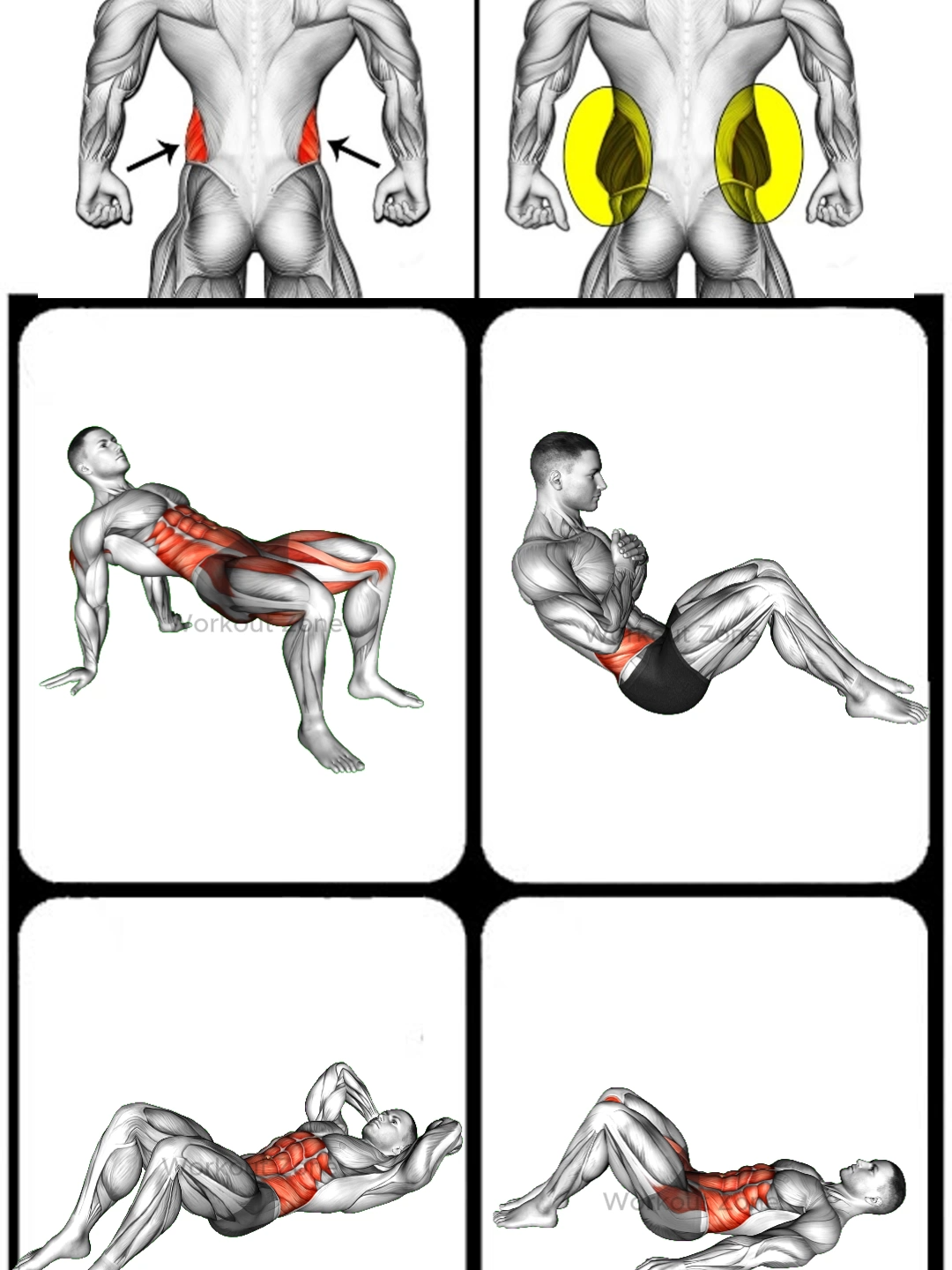 Side abs Workout 🔥 #exercise #Fitness #gym #workout #muscle #workoutroutine #fitnesstips