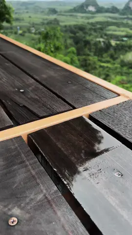 🍃 #สะบ้าย้อยสงขลา 