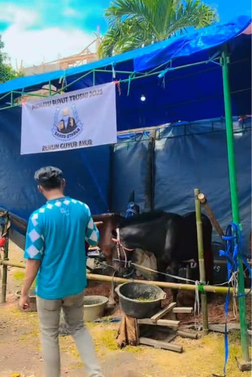 siap otw 🦄#memayubuyuttrusmicirebon #fyp #crbnpride🏴‍☠️ #bismillahfyp #berkuda @Novel☆Star🐎  @KRB STABLE🏇🏻 