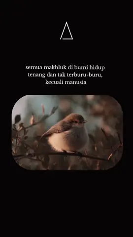 #fyp #arxvranity #mindsetshift #ketenangan #hidup 