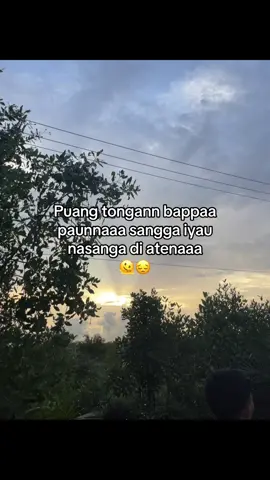 Tongan bappa puang🥹🫶🏻#mandar#katamandar#lagumandar#zxycba#fypシ゚ 