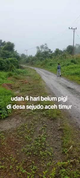 #aparat belum datang²  #lokasi  desa sejudo