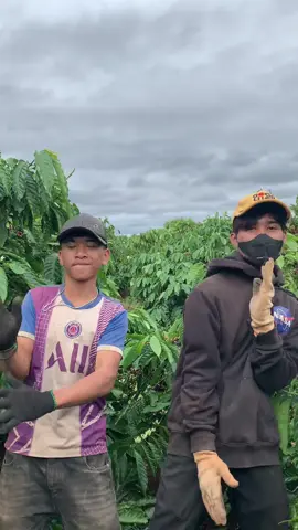 #xuhuong #47daklak #eahleo_đắklắk 52 là 52 😂