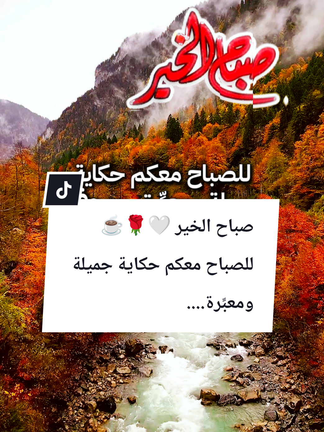 #souzan396 #صباح_الخير  صباح الخير🤍🌹☕ للصباح معكم حكاية جميلة ومعبرة....