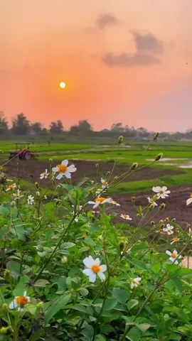 #vairel #treding #foryoupage 