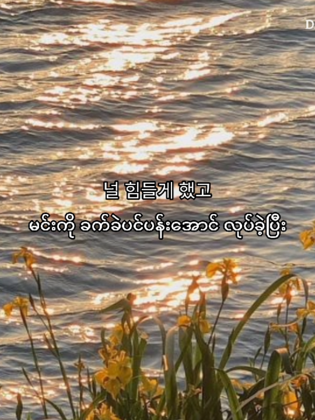 𝗗𝗮𝘃𝗶𝗰𝗵𝗶 - 𝗧𝗵𝗶𝘀 𝗟𝗼𝘃𝗲 시간을 되돌리면 အချိန်တွေကို နောက်ပြန်လှည့်မယ်ဆိုရင် #davichi #thislove #이사랑 #다비치 #descendantsofthesun 