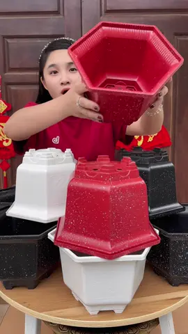 10 chiếc chậu nhựa lục giác đẹp #chaunhualucgiac #chaunhualucgiac210 #chaunhuatronghoa #chaunhuatrongcay #chaulucgiac 