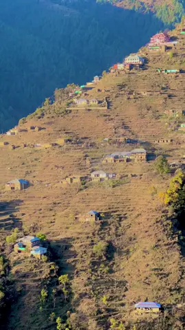 Wattan_gluna01# mynewaccount_support_me#1millionaudition# fypviraltiktok🖤シ゚☆#