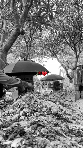 Sudah 100 hari bapak ninggalin kita semua, separuh hidupku sudah hilang pak. Fina kangen pak🥹semoga bapak disana bisa ngelihat perjuangan anak bungsumu ini 🥀❤️‍🩹 #rinduayah #kematian #kehilangan 