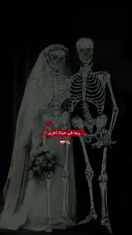 في حياه أخرى ربما سنلتقي .  دونَ أن يُثقلناَ الماضي ودونَ أن نخشى الفقد سأراك تمشي نحوي بخطوات هادئه كأنك تعرف اني كُنت هنا منذُ زمن انتظرك بين اليل والأمل سأرفع راسي إليك مبتسمه. وتفهم بعيني كل ماعجز لساني عن قوله سنجلس حين يعانق القمر البحر تحدثني بنبرة واثقه ودافئه وانا استمع كما كنت دوماً اراقب حركه يداكَ حين تتحدث واتمنى ان يتوقف الزمن بتلك اللحظة  سنضحك كثيراً تخرج من صدورنا ضحكات نقيه لم تُلوثها الخيبات وسأفكر في قلبي لو انَ هذه الحياة هيَ الحقيقة لما طلبتُ من القدر شيءََ بعدك..  لكننا سنرحل قبل أن يكتمل اليل وسيظل القمر يشهد عليناَ على كل حديث لما يكتمل وعلى وعداََ لم يقال وعلى قلبٍ مازالَ ينتظر رغمَ علمهِ أن اللقاء الأخير لايأتي 🫂⚰️ #مالي_خلق_احط_هاشتاقات 