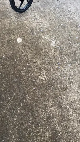 Nên đi xanh kendy hay trắng ta 🤔#xuhuong #xuhuongtiktok #xediendo #xedovietnam #60dongnai 