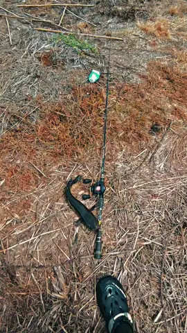 gaassssss😹🤙                               #castingfishing🎣 #fypシ #casting #castinggabus 