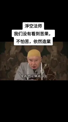 #佛学 #淨空法师 #我们没有看到苦果，不怕苦，依然造業 。