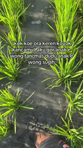 nggur anak e wong tani kok mas🙏🏻 #petaniindonesia🇮🇩🇮🇩🇮🇩🌿🌿#petanimuda#petanimilenial#fyppppppppppppppppppppppp 