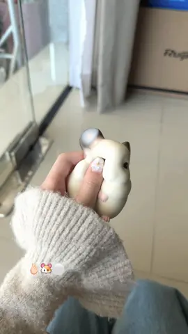 #สกุชชี่ #สกุชชี่น่ารัก 