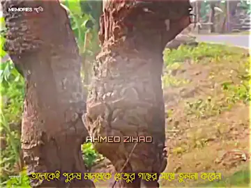 পুরুষ মানুষ হচ্ছে খেজুর গাছের মতো শুধুমাত্র লালসার প্রয়োজনে ব্যবহার হয়।😊❤️‍🩹#foryou #foryoupage #vairal #vairal_video #ahmed_zihad5 @TikTok @For You @TikTok Bangladesh 
