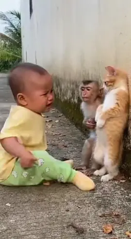 Bocil ngomel ngomel bikin ngakak 🤣😂 #vidio bocil lucu firal #fyppppppppppppppppppp #fypシ゚viral🖤tiktok 