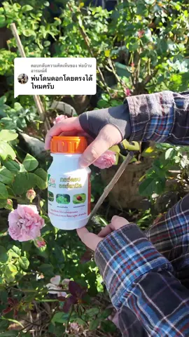 ตอบกลับ @พ่อบ้านอารมณ์ดี โดนได้เลยจ้า #ก้าวทวี #ก้าวทวีการเกษตร #กอร์ดอนออร์แกนิค #ออร์แกนิค #ศัตรูพืช 