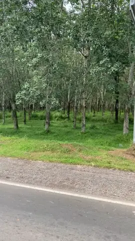 Dari jawa untuk sumatera✈️ @billyselma @DhanaDhano  #trukmaniaindonesia🇲🇨 