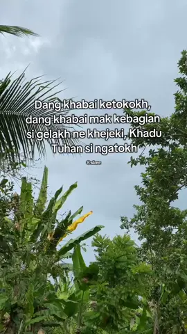 #lampungstory #lampungpride #lampunggehfyp #lampungtiktok #musiklampung 