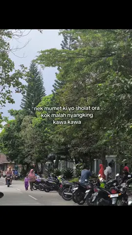 nyangking tok msok raoleh 🗿 #masukberanda #bahanswmu #fyp 