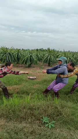 Trở về tuổi thơ cùng nhóm thanh long Nguyễn Huệ nhà các anh chị #xuhuong #xuhuongtiktok #fyp #viral #viralvideo 