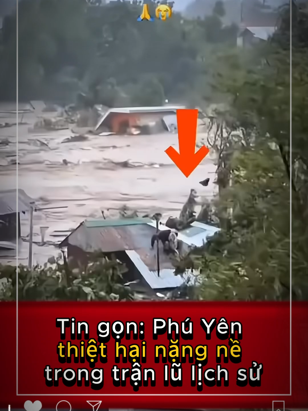 Tin gọn: Phú Yên thiệt hại nặng nề trong trận lũ lịch sử! Trong 48 giờ vừa qua, Phú Yên đã trải qua một thảm cảnh mưa lũ khốc liệt, để lại vô số tình huống đau lòng mà người dân nơi đây phải gánh chịu. Nước lũ dâng nhanh, tràn vào từng ngôi nhà, cuốn theo tài sản, khiến hơn 10.000 hộ dân với hơn 35.000 nhân khẩu bị ảnh hưởng trực tiếp. Nhiều khu phố chìm trong biển nước, người dân phải leo lên mái nhà, bám vào cột điện, cây xanh để giữ mạng sống. Có những gia đình cả đêm ngồi co ro trên nóc nhà, tay ôm chặt con nhỏ, ánh mắt tuyệt vọng nhìn dòng nước cuồn cuộn bên dưới.   Một số tình huống xót xa đã xảy ra khi lực lượng cứu hộ không thể tiếp cận kịp thời. Có cụ già sống một mình, khi nước lũ tràn vào, không kịp chạy thoát. Hàng xóm chỉ biết nhìn từ xa, bất lực vì dòng nước quá mạnh. Có gia đình trẻ, cha mẹ cố gắng bế con lên cao, nhưng sức người không thể chống lại dòng nước hung dữ, kết cục là mất mát không thể bù đắp. Những tiếng kêu cứu trong đêm mưa gió, những ánh đèn pin chập chờn trên mái nhà, là minh chứng cho sự tuyệt vọng mà người dân phải trải qua.   Giao thông gần như tê liệt, hơn 170 điểm ngập lụt và sạt lở trên các tuyến quốc lộ và tỉnh lộ khiến việc cứu trợ gặp nhiều khó khăn. Có trường hợp xe khách bị nước cuốn trôi khi dừng cạnh suối, hàng chục hành khách hoảng loạn, may mắn được cứu kịp thời. Lực lượng cứu hộ phải căng dây cáp qua sông để đưa từng người dân ra khỏi vùng nguy hiểm. Những người lính, tình nguyện viên lội bì bõm trong dòng nước xiết, dìu từng em nhỏ, từng cụ già đến nơi an toàn là hình ảnh khiến ai chứng kiến cũng xúc động.   Trong sản xuất, hàng loạt diện tích lúa, hoa màu bị ngập, nhiều khu nuôi trồng thủy sản bị tràn lồng, thất thoát sản lượng. Người nông dân nhìn ruộng đồng trắng nước, biết rằng công sức cả năm trời đã mất sạch. Các hoạt động kinh doanh, buôn bán tại chợ dân sinh và cửa hàng nhỏ lẻ bị đình trệ, hàng hóa hư hỏng, chuỗi cung ứng gián đoạn. Sau khi nước rút, nhiều gia đình chỉ còn lại nền nhà trống trơn, tài sản bị cuốn sạch, kỷ vật mất đi, để lại nỗi đau tinh thần khôn cùng.  Các trường học cũng chịu cảnh ngập sâu, bàn ghế trôi nổi, sách vở ướt nhẹp. Thầy cô và phụ huynh phải cùng nhau dọn bùn đất, phơi từng cuốn sách, từng bộ đồng phục để chuẩn bị cho học sinh trở lại lớp. Những hình ảnh ấy không chỉ là mất mát vật chất, mà còn là nỗi đau tinh thần, khi mọi người phải bắt đầu lại từ con số không.   Trong những ngày khốn khó ấy, sự xuất hiện của quân đội, lực lượng cứu hộ và các mạnh thường quân đã trở thành điểm tựa tinh thần lớn lao. Những người lính không quản hiểm nguy, lội bì bõm trong dòng nước xiết, căng dây cáp qua sông để đưa từng người dân ra khỏi vùng nguy hiểm. Họ dìu từng cụ già, bế từng em nhỏ, mang áo phao, lương thực và thuốc men đến những khu vực bị cô lập. Hình ảnh bộ đội gùi từng thùng mì tôm, từng can nước sạch trên vai, vượt qua dòng nước chảy xiết để tiếp tế cho dân khiến ai chứng kiến cũng xúc động.   Không chỉ có lực lượng vũ trang, mà còn có sự chung tay của các mạnh thường quân, các tổ chức thiện nguyện và người dân khắp nơi. Những chuyến xe chở đầy gạo, mì tôm, nước uống, áo phao, chăn màn được gửi về Phú Yên. Có những đoàn thiện nguyện đi xuyên đêm, bất chấp mưa gió, để kịp trao tận tay người dân vùng lũ những phần quà cứu trợ. Nhiều cá nhân, doanh nghiệp đã quyên góp tiền bạc, nhu yếu phẩm, thuốc men, thậm chí cả máy phát điện để giúp bà con vượt qua giai đoạn khó khăn.   #cuuho #lulut #thoitiet #phuyen #cuutro #quandoi #tingon #tintuc #tintuc24h #trending #trendingvideo #tranding #viralnews #viralvideo #viralshorts #viral #fyp #foryou #sharethis #watchnow #watch #duets #duet #foryou #explore #mustwatch #news #TrendingNews#share #viralshorts #foryou #baomoi #tinnong