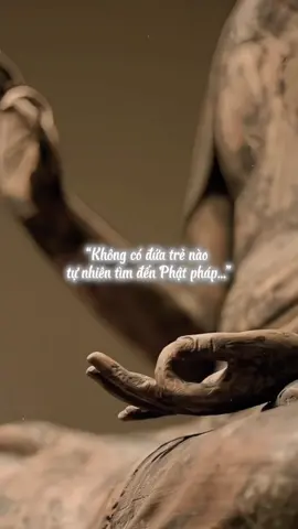 Không có gì là tự nhiên cả  “Không có đứa trẻ nào tự nhiên tìm đến Phật pháp, không có đứa trẻ nào tự nhiên biết bước vào chùa, biết niệm Phật, biết tham Thiền… Tất cả đều nhờ nhân duyên từ nhiều đời.  Nếu không có duyên sâu dày, thì dù chỉ một câu ‘Nam Mô A Di Đà Phật’ cũng chưa chắc khởi được nơi tâm.” NAM MÔ A DI ĐÀ PHẬT #adidaphat🙏🙏🙏 #phattrongtam #hocphatmoingay #loiphatday #buddha 
