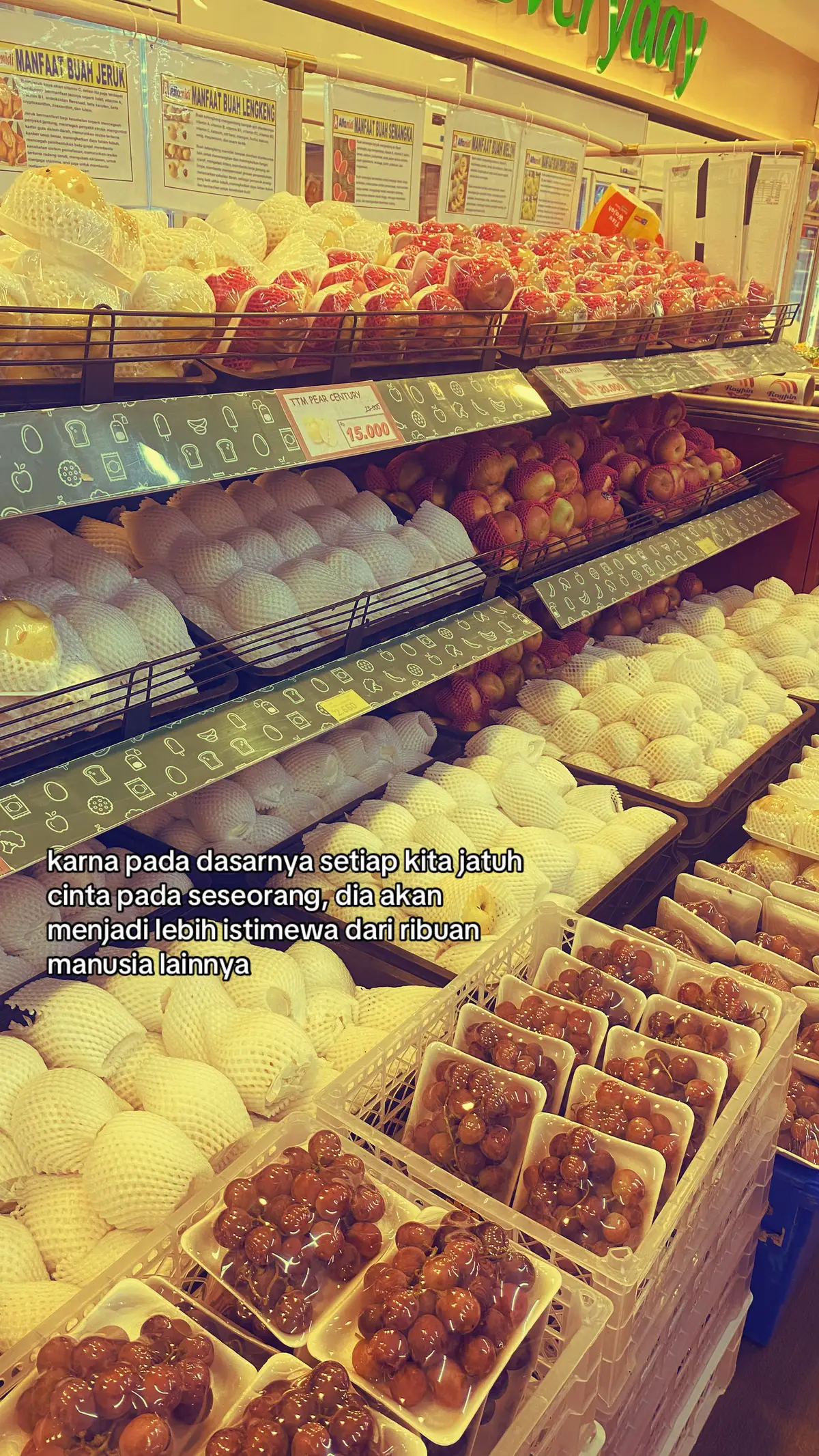 #foryoupage #fyp #4u 