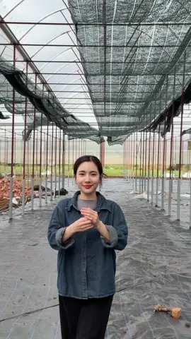 L.A Green được phát triển như ngày hôm nay là nhờ có mọi người luôn yêu thương và ủng hộ đó ạ. em cảm ơn mọi người nhiều lắm nha ❤️❤️##LAGreen##vuivemoingay❤️##Caygiong##chuoilunmini