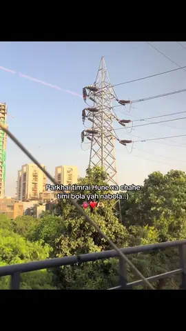 Parkhai timrai Hune xa❤️🫶🏻#rohiteyyy #foryou #goviral #contentcreator @Mr_tamang🤡 @BaCcHa 🤡 