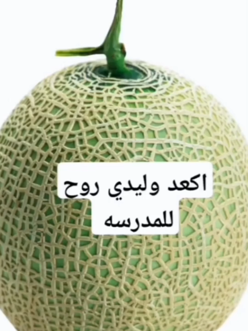 تعليق مناسب للفيديو 