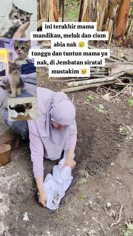 Sakit mama nak,mama rindu Abia🥲#putriabia  #catlover #kucing #kucingmeninggal #sumaterabarat 