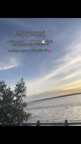 #ဘယ်သူမှအဖတ်မလုပ်တဲ့မွေးနေ့လေတောင်ရောက်လားတော့မယ်💔#pppppppppppppppppp #fpyシ 
