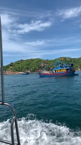 ✨ CÙNG MÌNH TRỐN THÀNH PHỐ, NGẮM BIỂN VĨNH HY NHÉ! 🌊 Vĩnh Hy đẹp đến mức chỉ cần đứng im cũng thành một thước phim rồi… ⛵ Nước xanh trong tận đáy 🏝️ Núi ôm biển cực kỳ thơ 🌤️ Gió mát, trời cao, chill hết nấc Nếu bạn đang cần một nơi để “reset” lại tâm hồn — thì Vĩnh Hy chắc chắn là chân ái. Đi thôi… để biển kể chuyện giúp mình. 💙 #vin#vinhhya#travelvietname#biendepvietnaml#dulichillvibes