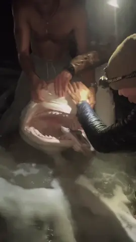 #foryou #fyppppppppppppppppppppppp #onthisday #zyxcba #اكسبلورexplore 