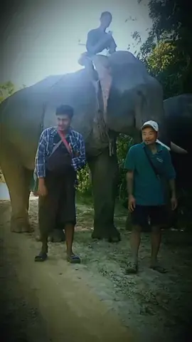 #ဘာတင်တင်viewမတက်😔😔😔😔😔 #မူးနေပြီ😂😂😂 