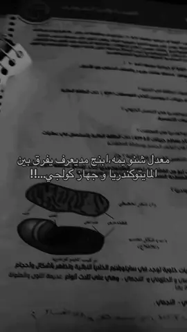 #سادسيون #احياء #تعب #سادس_اعدادي 