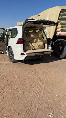 #fyp #explore #لكزس #الوضح 