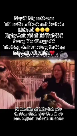 Thương #xuhuongtiktok  #xuhuong  #trending  #viral  #yumenglong 