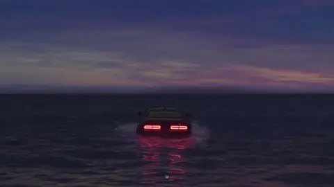 #billieeilish #wildflower #typ