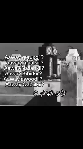 #🥹🥹🥹 #🍂🖤🍂 #copylink #adoonti_alle72 #viral 