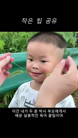 #생활꿀팁 #tiktok 