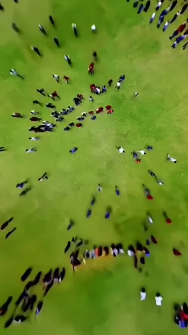 💥💥27 December 2025💥💥 ✨🇲🇾✨🇲🇾✨🇲🇾✨🇲🇾✨🇲🇾✨ #vijayfans  #dedicatvijayfans 