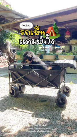 รถเข็นแคมป์ปิ้งเอนกประสงค์ ใช้ขนของได้เยอะตัวรถแข็งแรง หรือจะใช้เป็นโต๊ะแคมป์ปิ้งก็ได้ 🏕️⛰️🌲🏝️ #รถเข็นพับได้ #รถเข็นเอนกประสงค์ #รถเข็นแค้มป์ปิ้ง #รถเข็นแคมป์ปิ้ง #โต๊ะแค้มปปิ้ง 