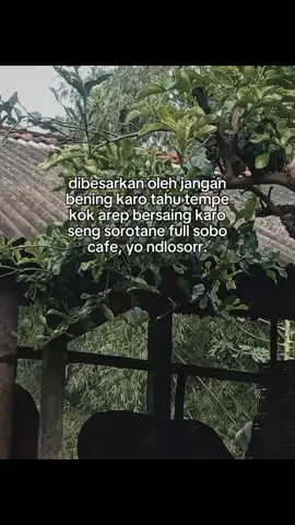 #CapCut yo ndak mampu no, aku  #peternaksapimuda #peternaksapi #masukberanda #fyp 