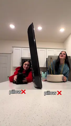 no animals were harmed in the making of this video. (she’s really fine and still loves me 😂) #bestfriend #trend #cat #funny @simply.maddi0 @cadence 🎀 