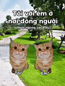 :)  #memes #couple #cat #relatable #fyp 