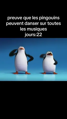 pingouin #fyp 