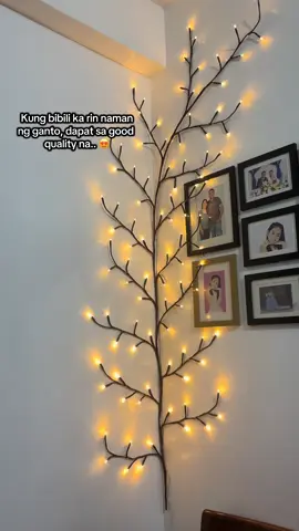 Hindi ako masyado nag expect pero grabe ang ganda! Tuwang tuwa anak ko! 🥰 #Christmas #ChristmasBranches #christmaslights #Classy #affordable 